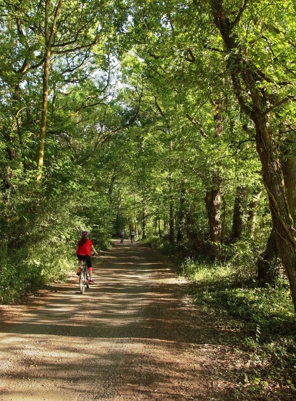 Chemin à vélo