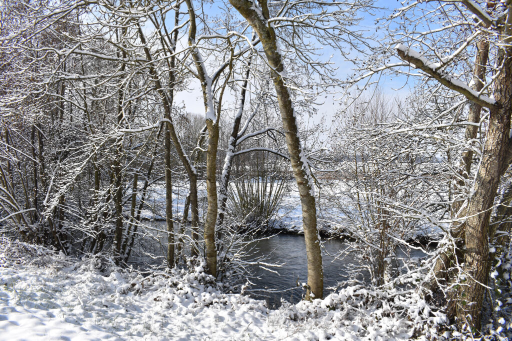 Lac sous la neige