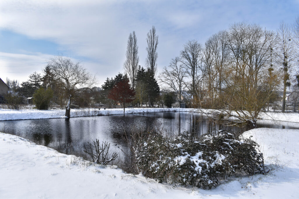 Lac sous la neige